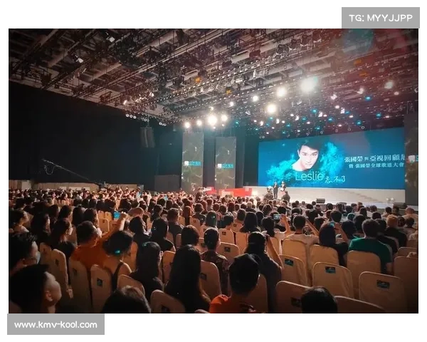 欧协杯决赛规则全解析与常见问题深度解读暨观赛实用综合指南